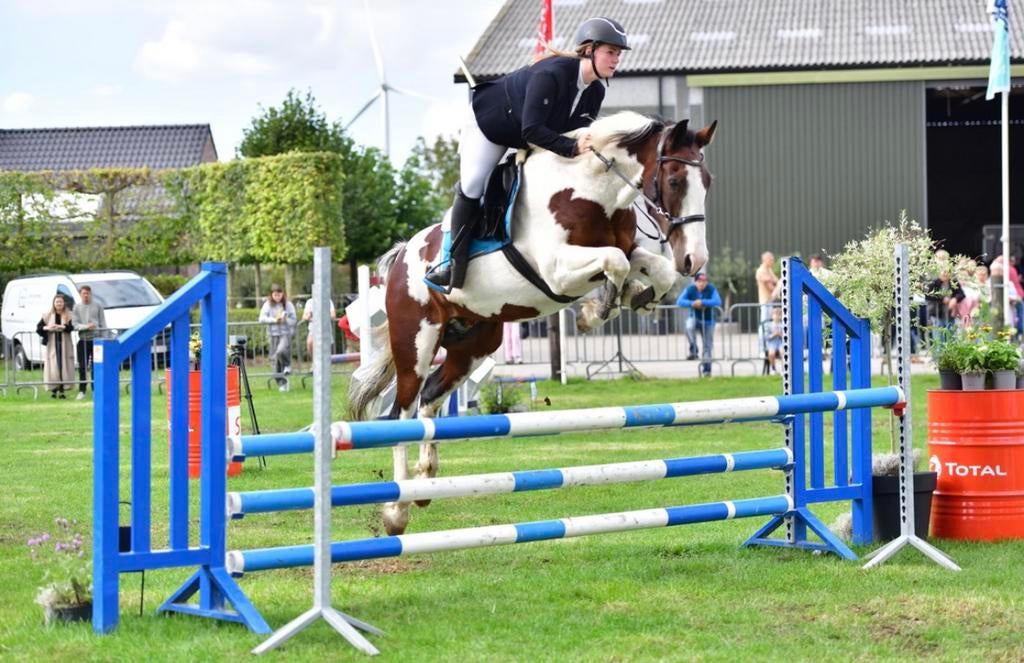 (Dringend) Halve stal gezocht, Dieren en Toebehoren, Paarden