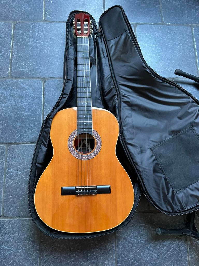 Guitare avec sa house, Enlèvement, Utilisé, Guitare classique ou espagnole, Avec valise