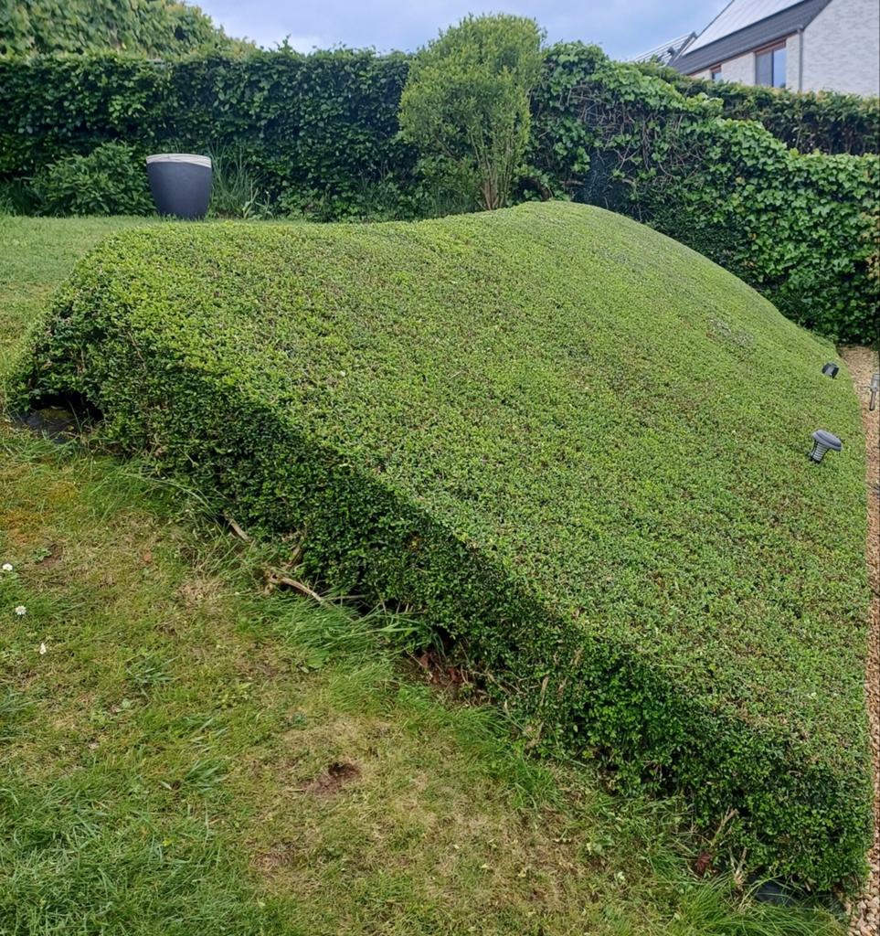 Jardinier, jardinier et jardinier à Louvain et ses environs