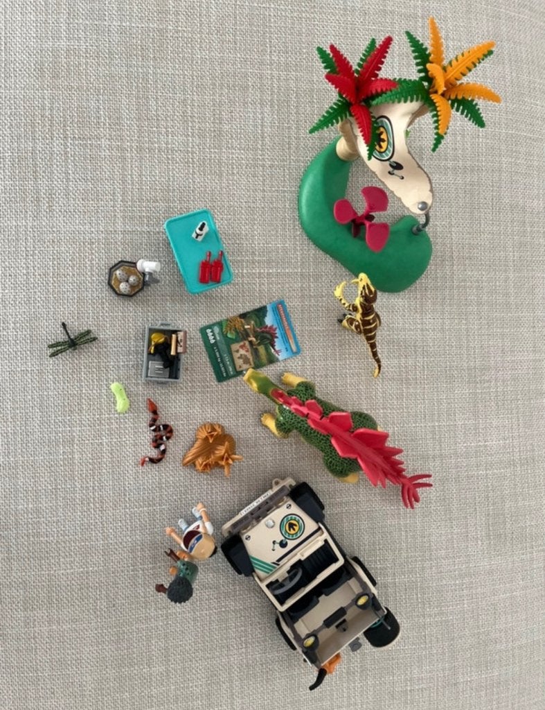 Playmobil dino’s, Complete set, Overige typen, Ophalen of Verzenden, Zo goed als nieuw
