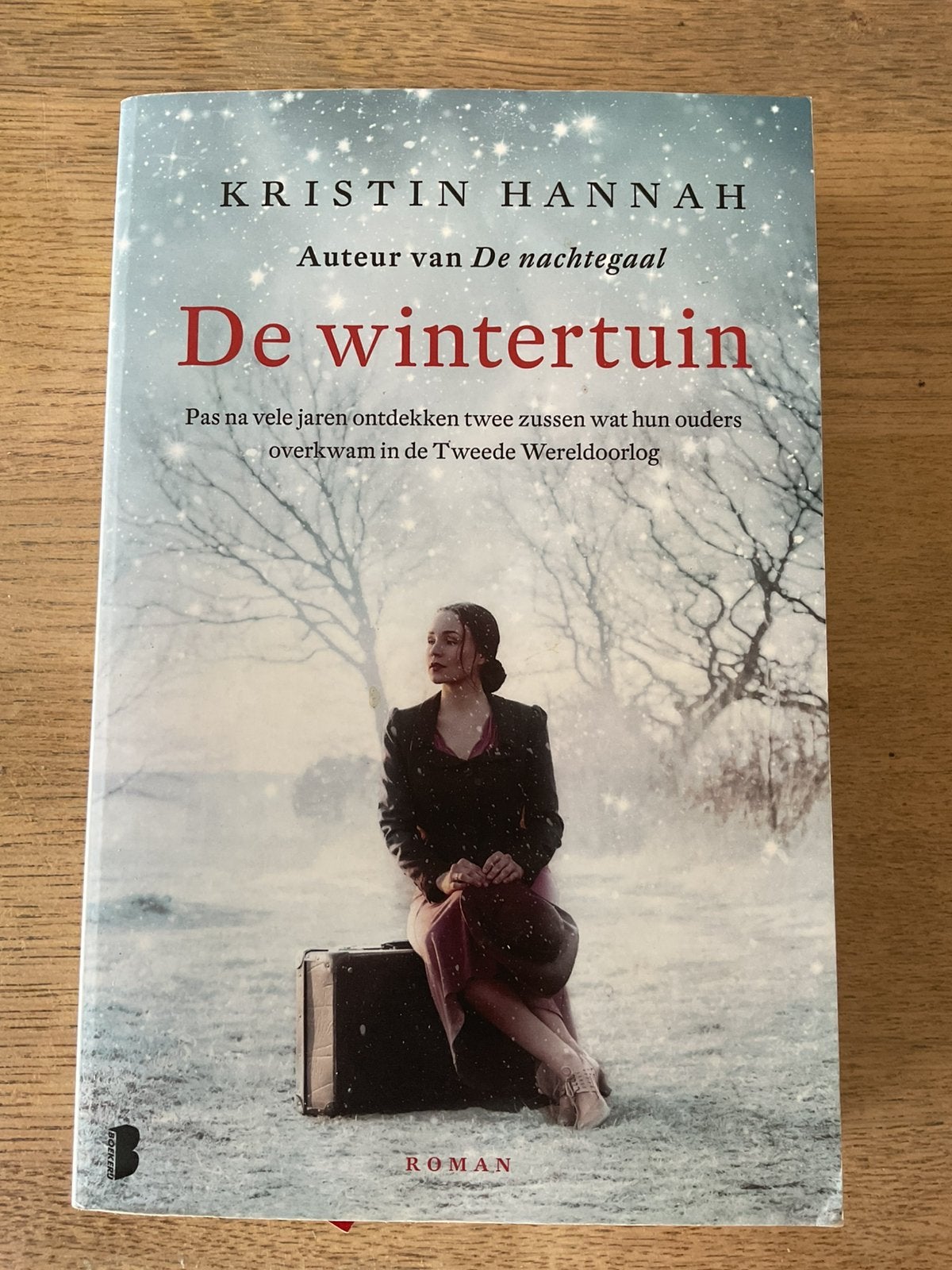 Kristin Hannah - De wintertuin, Ophalen of Verzenden, Kristin Hannah