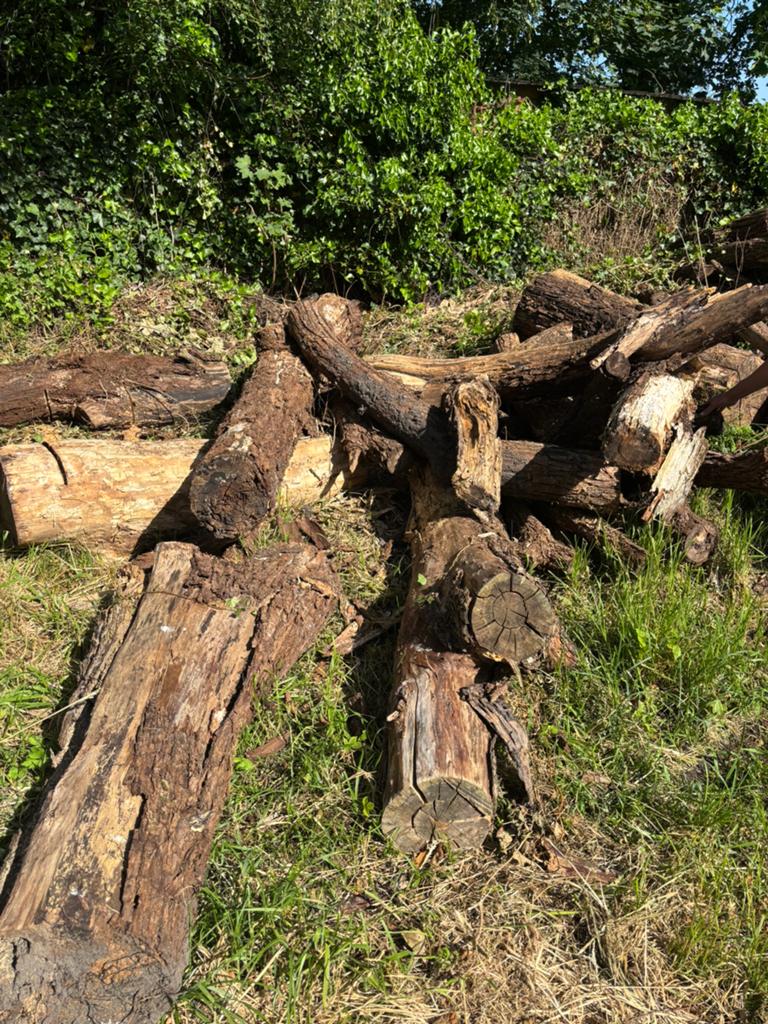Wie hout kan gebruiken: gratis mee te nemen, Enlèvement ou Envoi
