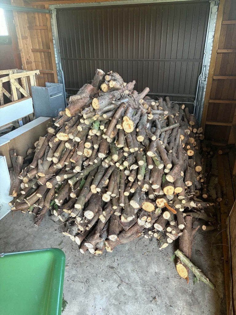 dennenhout +- 2 kub, Tuin en Terras, Minder dan 3 m³, Ophalen, Eikenhout, Stammen