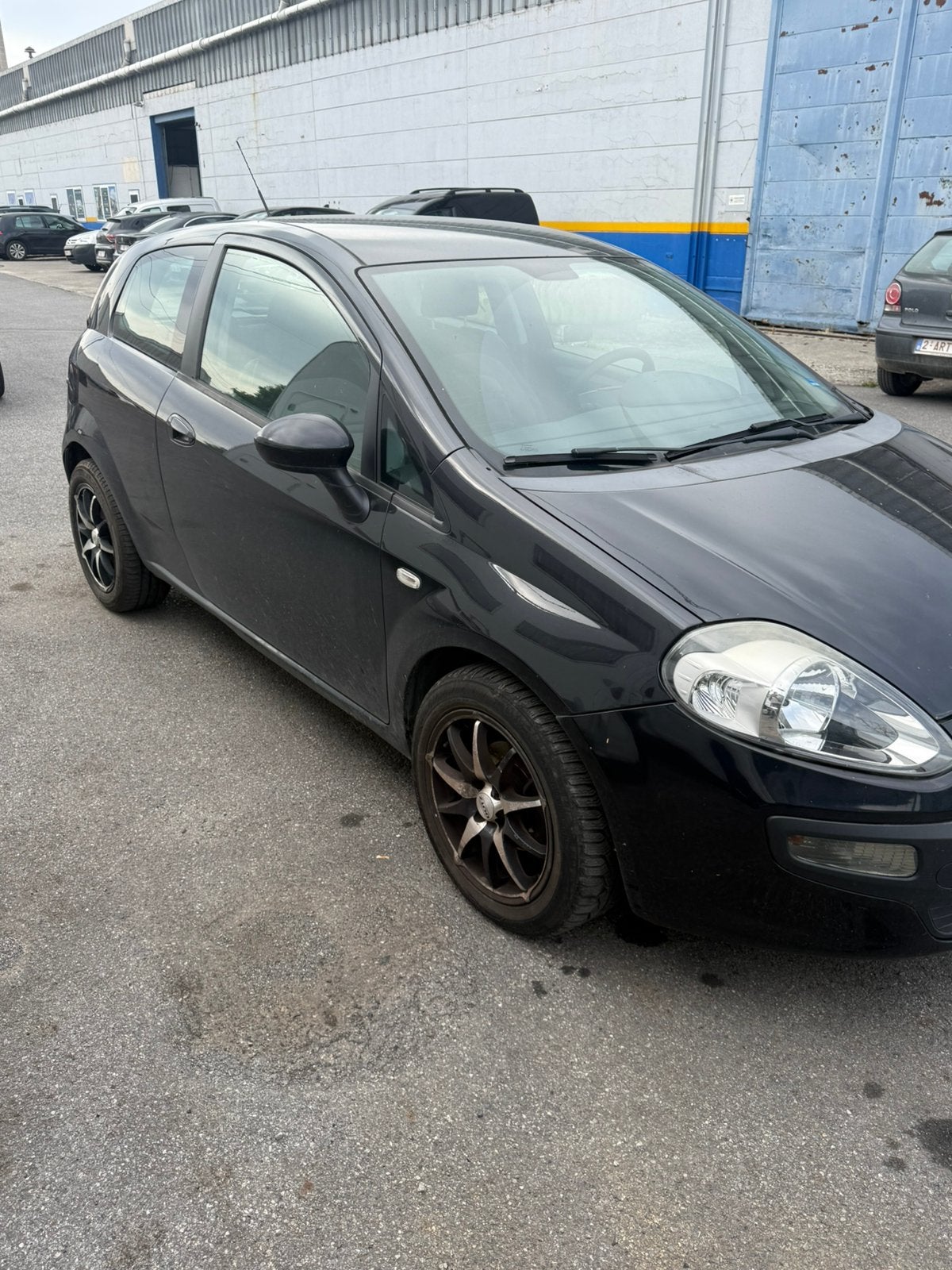 Fiat punto evo, Autos, Fiat, Achat, Diesel, Particulier, Punto