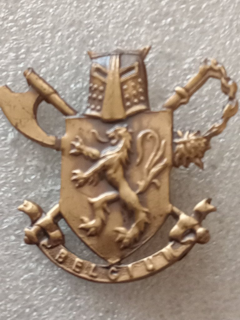 Ancien insigne de béret para commando belge en bronze Corée, Collections, Envoi