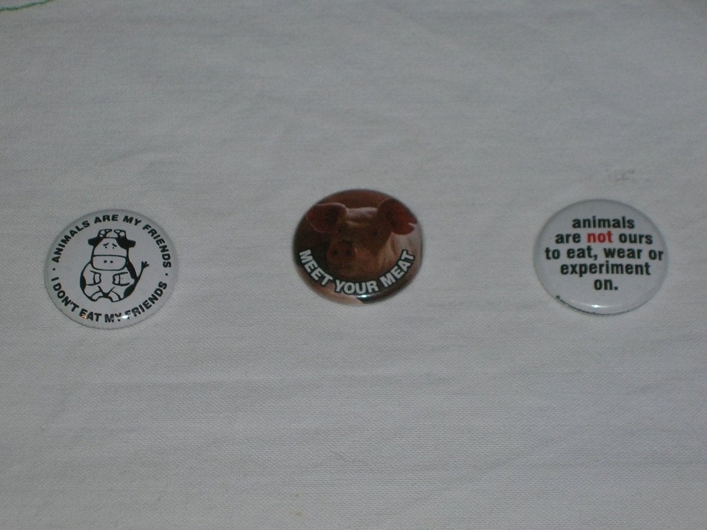 Vegan buttons ( speldjes ), Ophalen, Zo goed als nieuw, Speldje of Pin