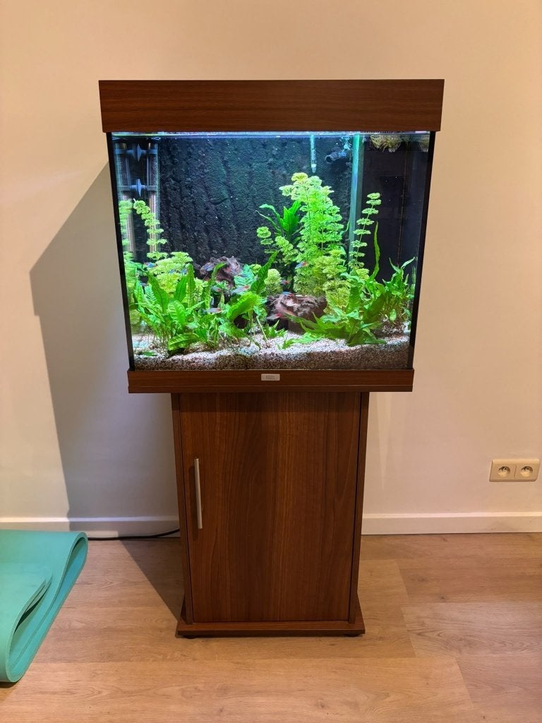 Aquarium Juwel 120L met vissen, Ophalen, Gebruikt, Gevuld zoetwateraquarium, Inclusief controller
