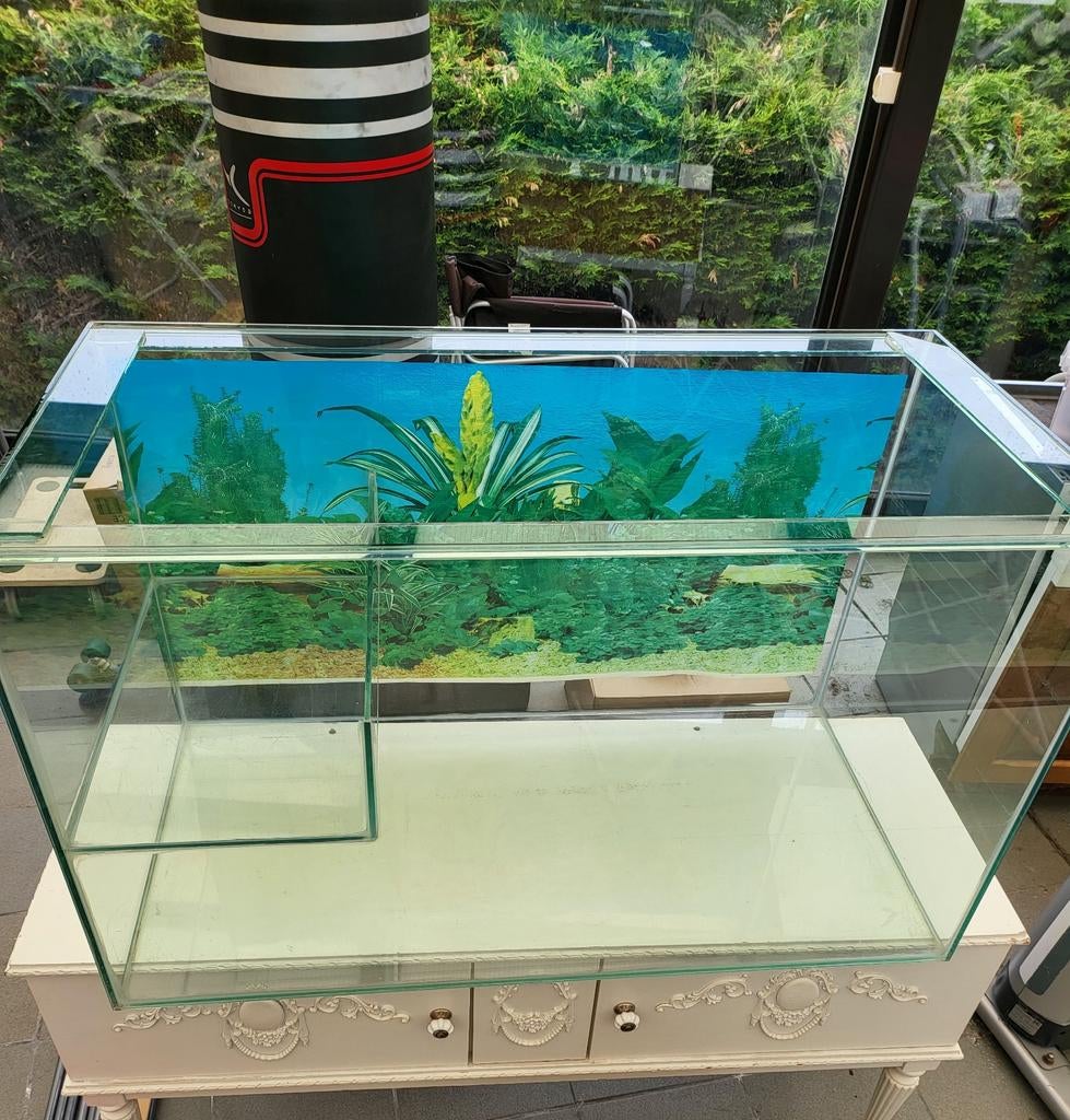 Schildpadden aquarium, Dieren en Toebehoren, Ophalen