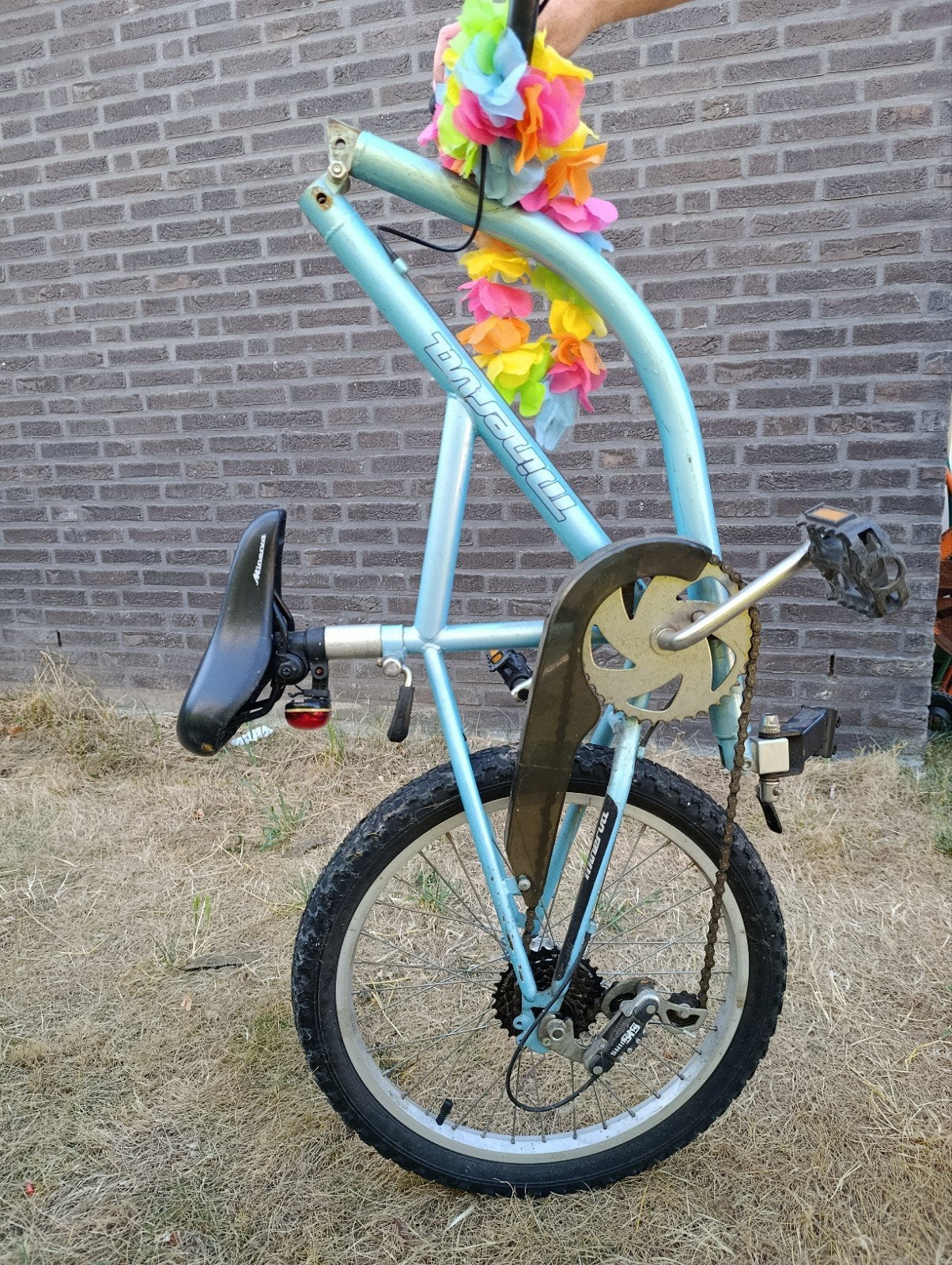 Aanhangfiets Minerva, Fietsen en Brommers, Fietsen | Cruisers en Lowriders, Ophalen