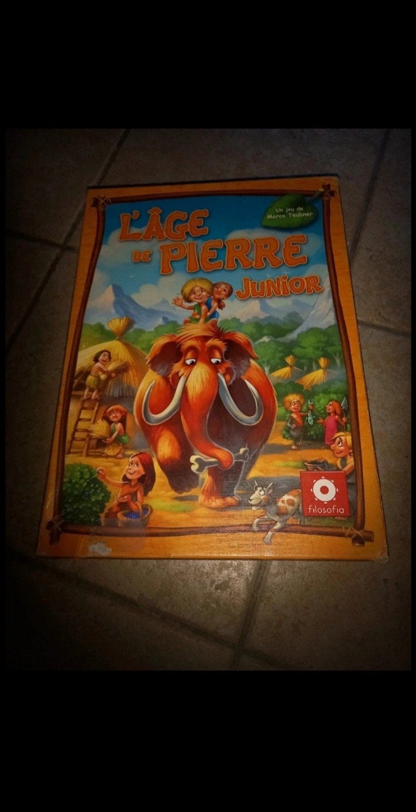 jeu l'âge de pierre junior, Enlèvement ou Envoi