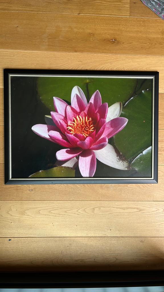 Photo dans un cadre en bois 75x55cm, Maison & Meubles, Accessoires pour la Maison | Cadres, Enlèvement, Utilisé, Bois