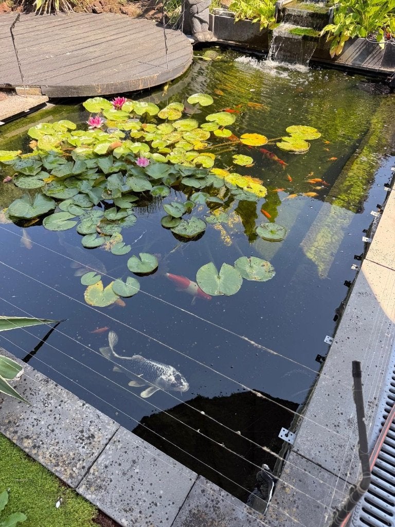 Vijverbenodigdheden, Tuin en Terras, Vijver-toebehoren, Ophalen, Zo goed als nieuw, Vijverpomp