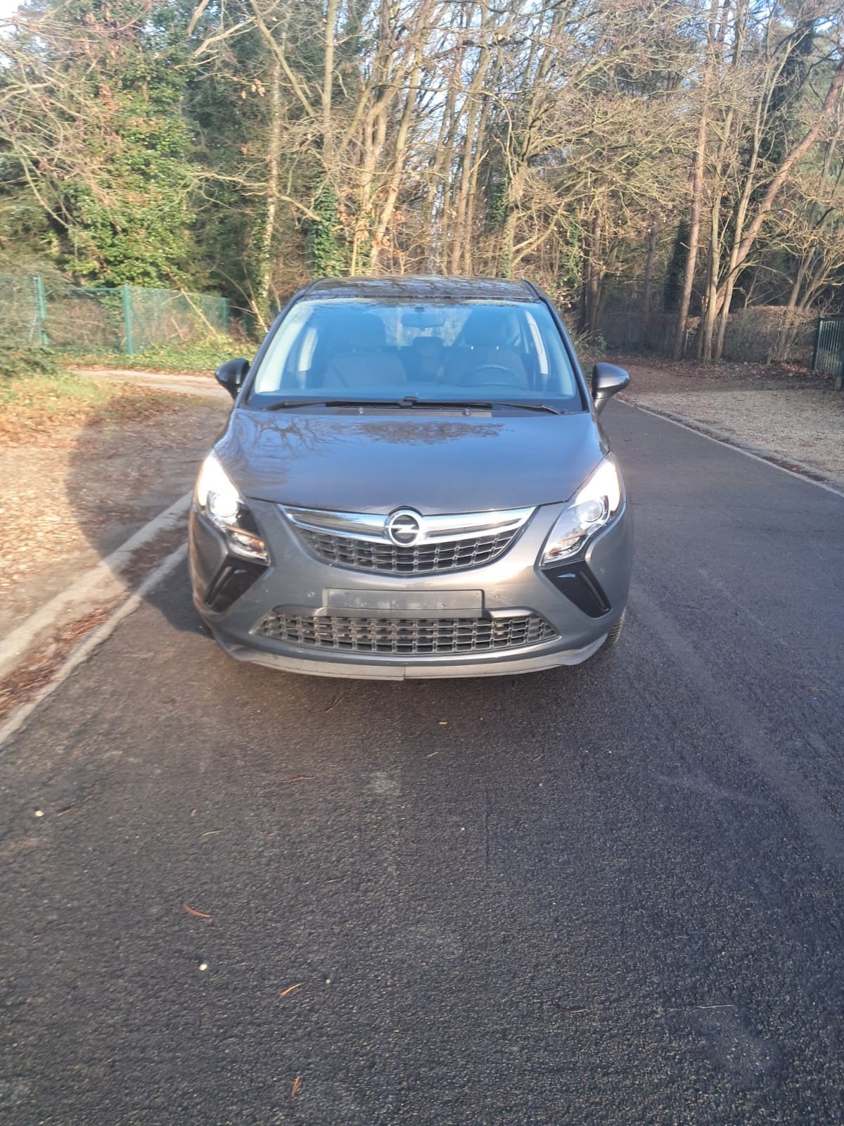 Opel Zafira Tourer 5 places, Achat, Euro 6, Entreprise, Autres couleurs