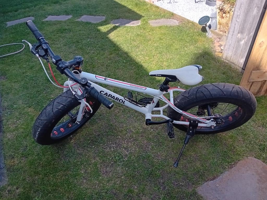 Fatbike niet Electrische, Fietsen en Brommers, Ophalen