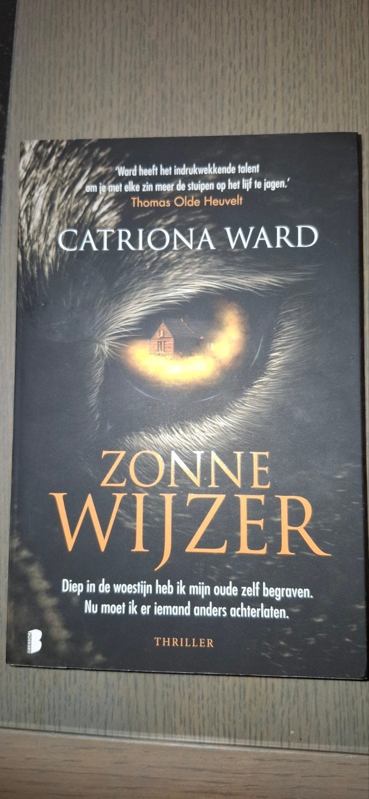 Catriona Ward - Zonnewijzer, Boeken, Ophalen of Verzenden, Catriona Ward