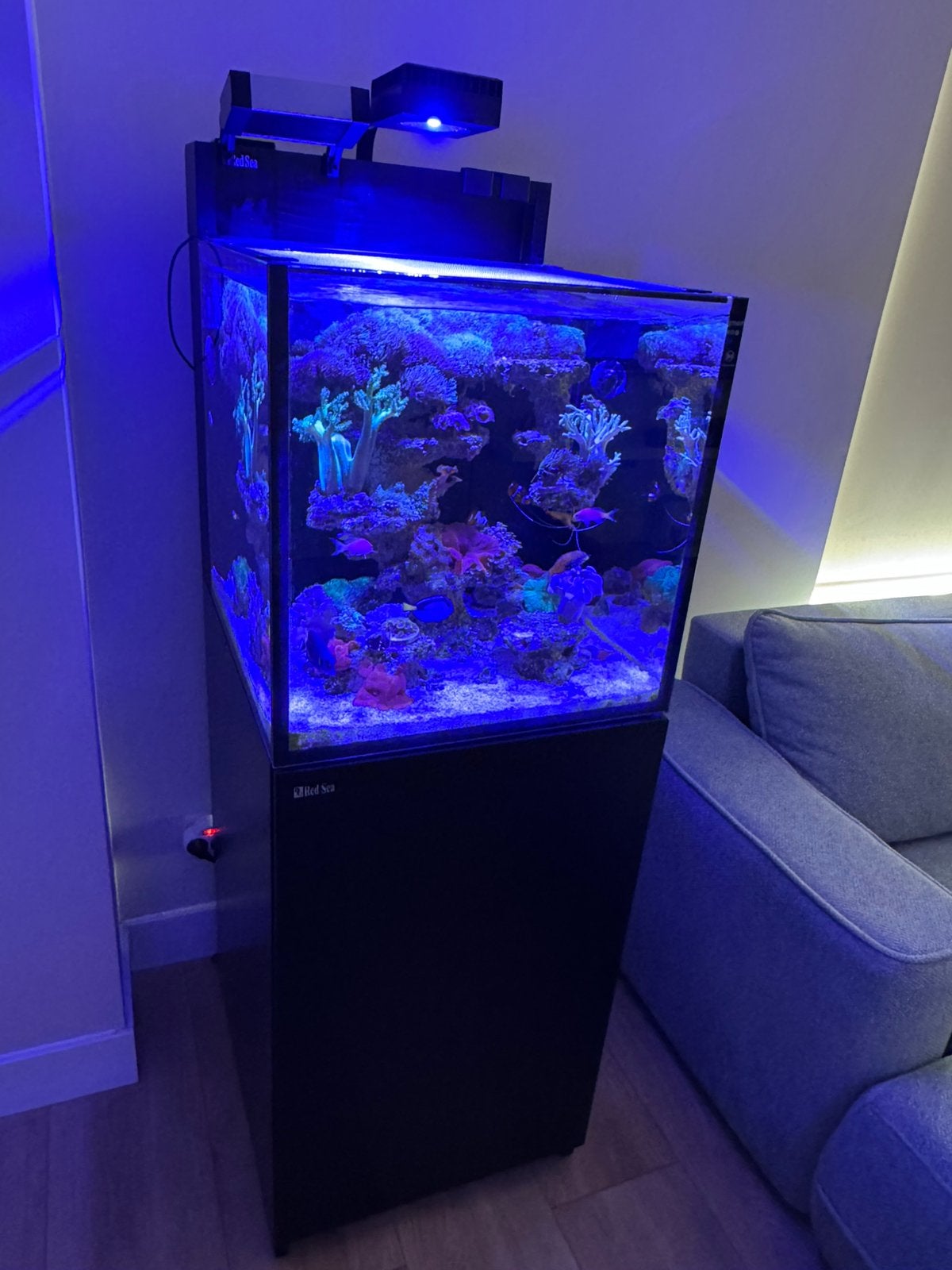 Zeeaquarium, Ophalen, Zo goed als nieuw, Red Sea