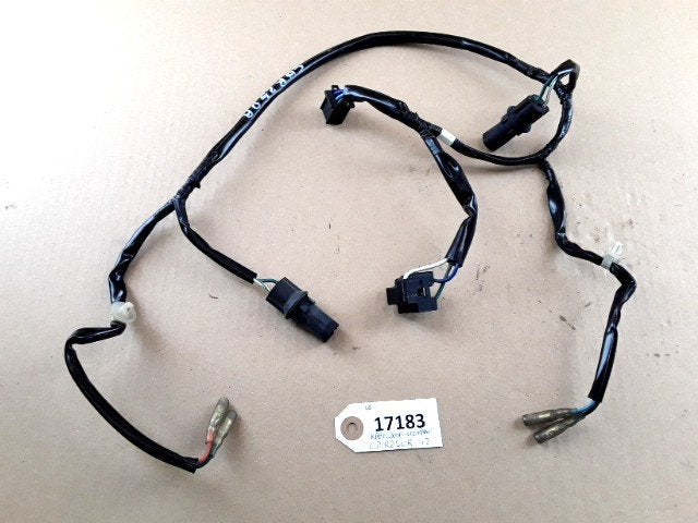 CBR250R 2011 - 2013 Honda Kabelboom D1-29186