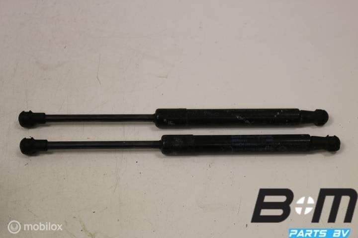 Set gasdrukveren voor motorkap Audi A1, Utilisé