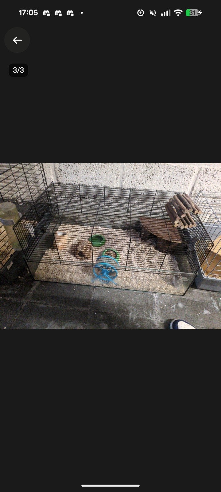 2 hamster broertjes met kooi 40 euro, Dieren en Toebehoren, Knaagdieren, Maart, Mannelijk, Hamster