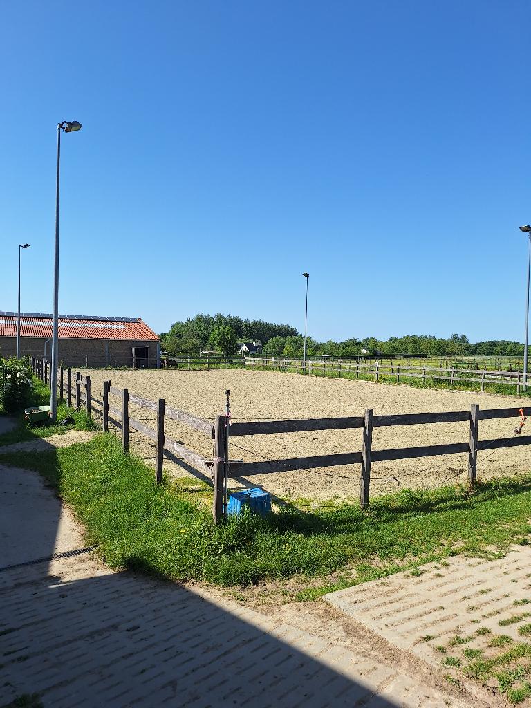 Stalling vrij, Dieren en Toebehoren, Weidegang, 2 of 3 paarden of pony's