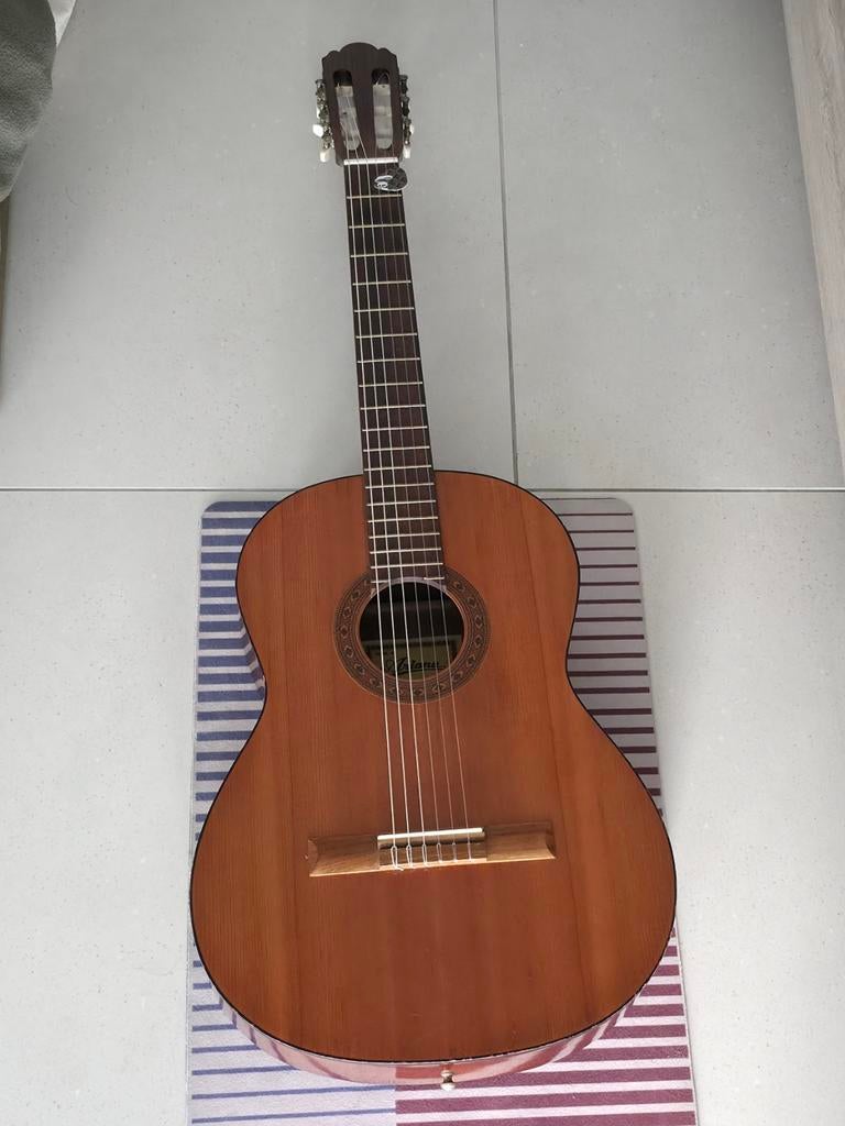 Guitare Ariana 4/4, Musique & Instruments, Enlèvement
