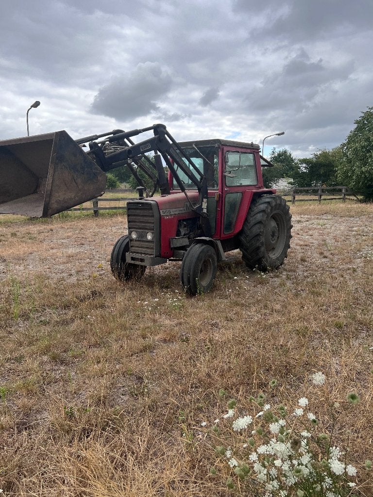 massey ferguson, Jusqu'à 80 ch, 5000 à 7500, Enlèvement, Utilisé