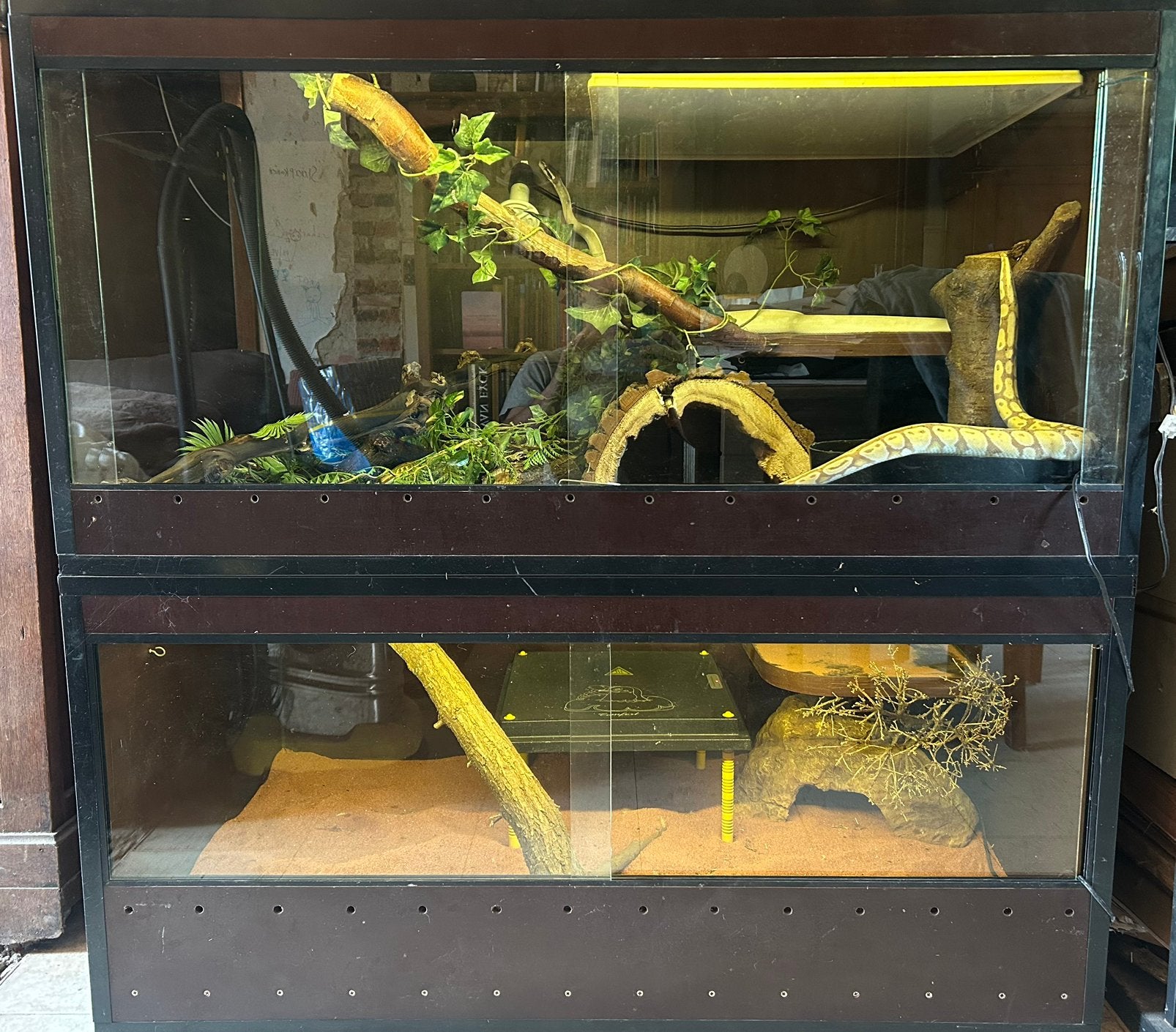 Terrarium 130 x 150 x 70 cm, Animaux & Accessoires, Enlèvement, Comme neuf