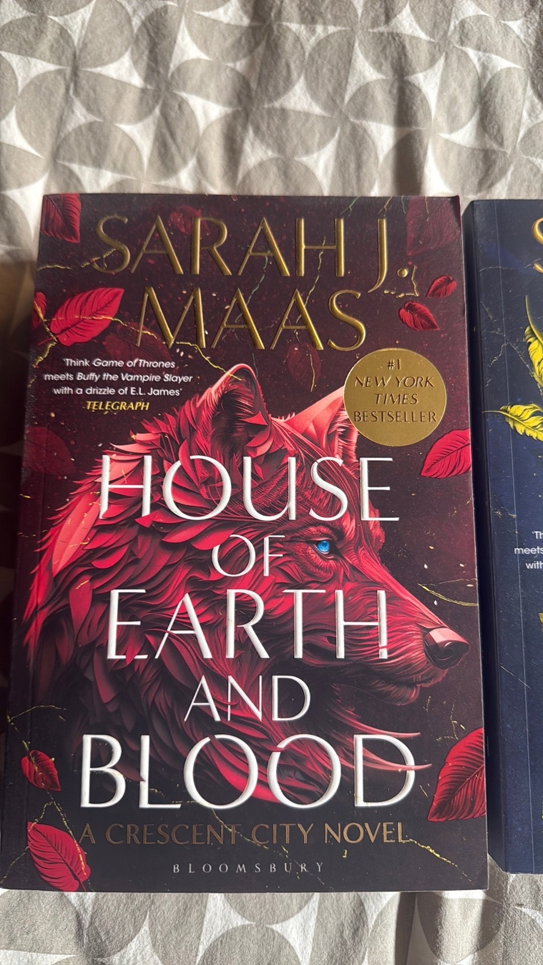 Sarah J. Maas Crescent City 1 & 2 (Engels), Livres, Fantastique, Enlèvement ou Envoi, Comme neuf