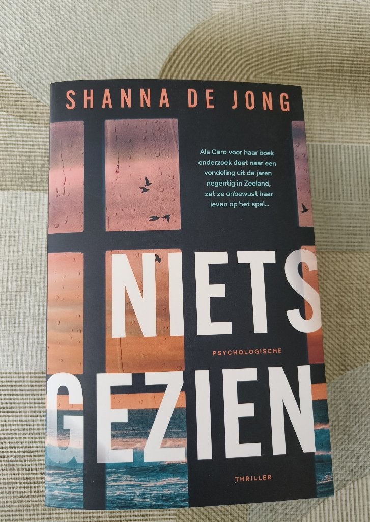 Niets gezien - Shanna de Jong, Boeken, Gelezen, Shanna de Jong, Ophalen of Verzenden, Nederland