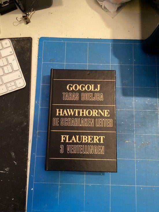 Te Koop Boek TOP CLASS OMNIBUS 2 Gogolj Hawthorne Flaubert, Boeken, Romans, Ophalen of Verzenden, Gelezen, Divers auteurs, Europa overig