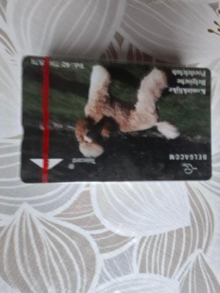 Caniche, Enlèvement ou Envoi