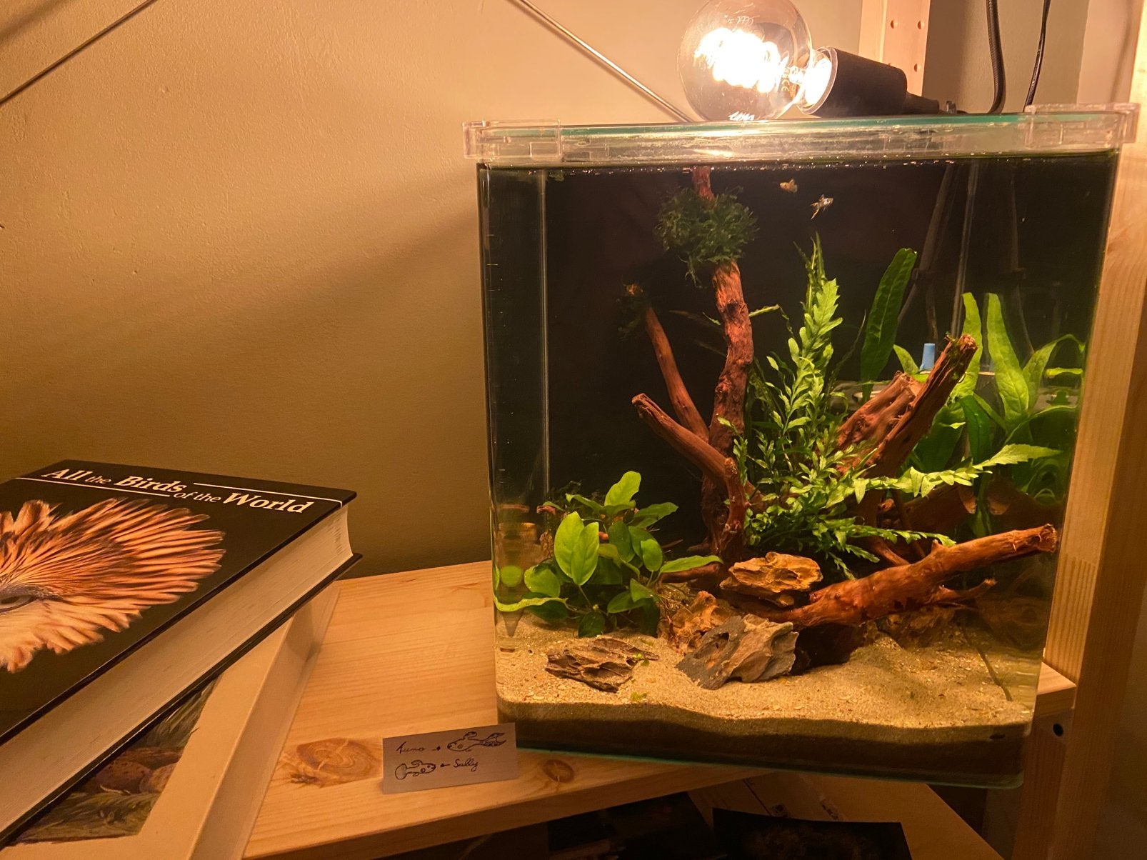 Nano aquarium (leeg te koop), Dieren en Toebehoren, Ophalen, Zo goed als nieuw