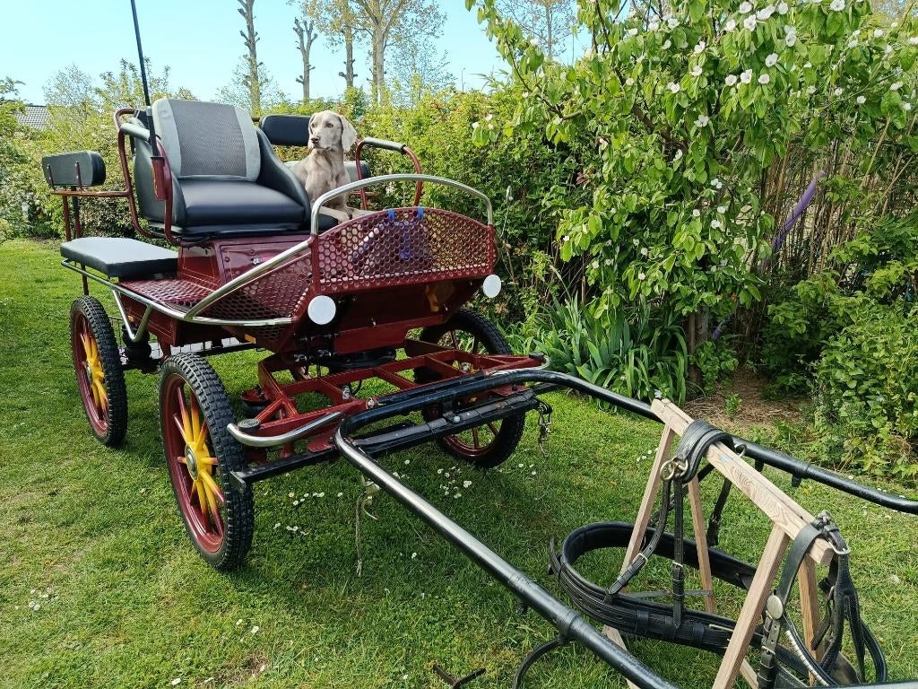 Koets, Gebruikt, Overige typen, Paard of Pony