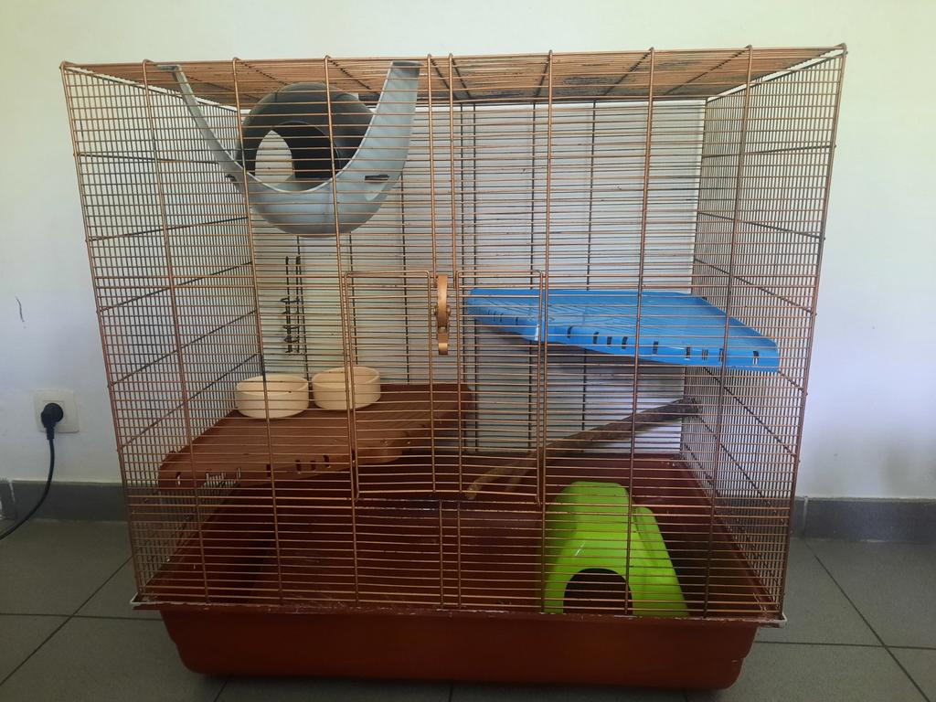 Knaagdier kooi + benodigdheden, Enlèvement, Cage