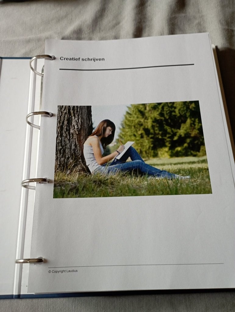 Cursus Laudius Creatief schrijven, Ophalen of Verzenden, Zo goed als nieuw, Niet van toepassing, Elsbeth De Jager