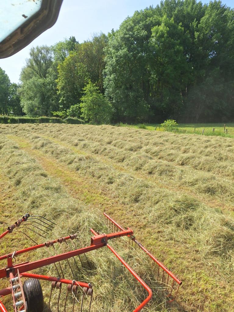 Kleine balen hooi 2026, Zakelijke goederen, Landbouw | Veevoer, Ophalen