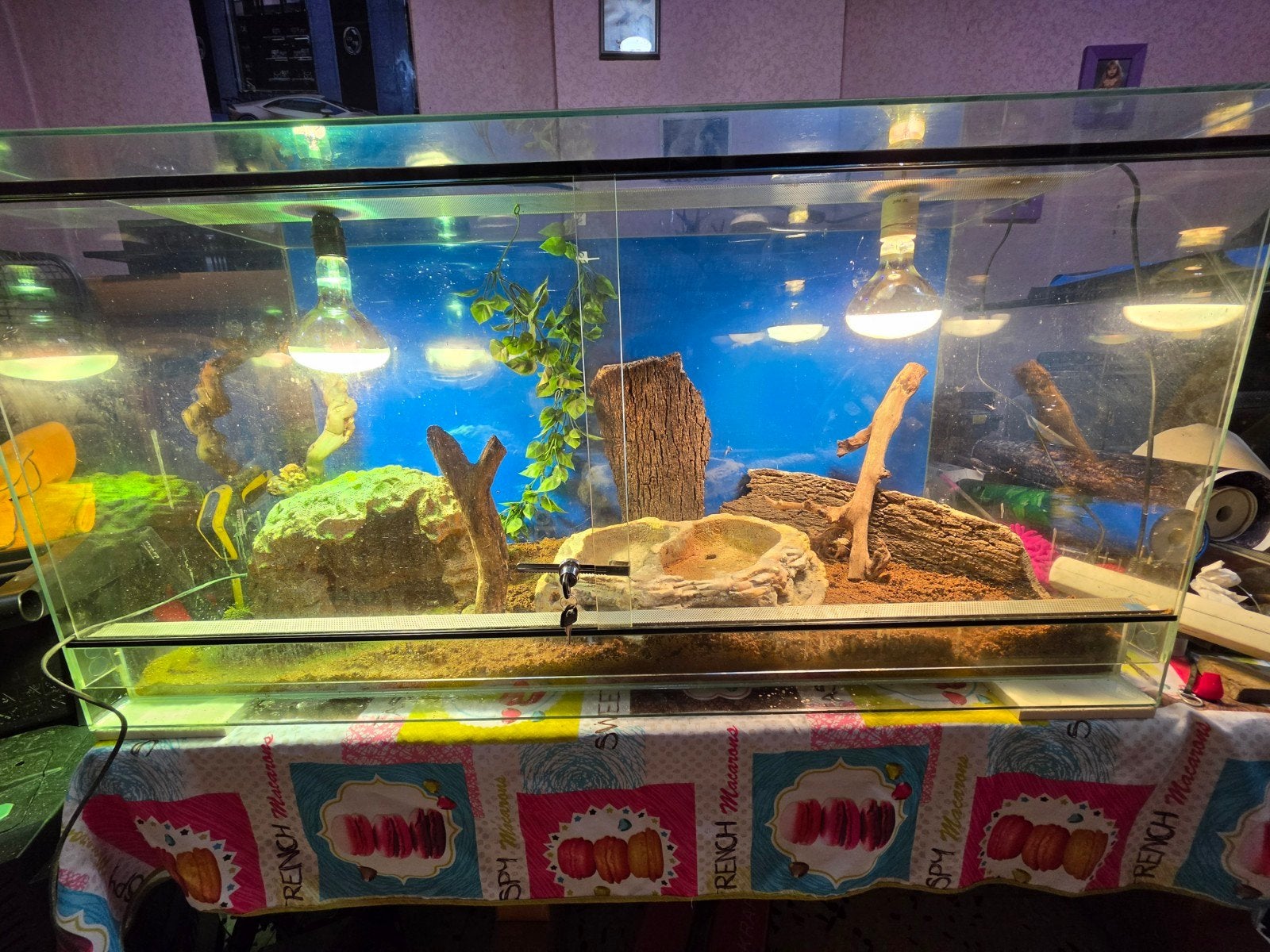 terrarium  120x50 base 60 hauteur, Dieren en Toebehoren, Ophalen of Verzenden