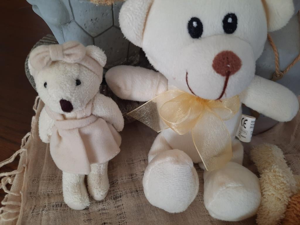 Un ours familial ensemble pour 2eu, Enlèvement, Neuf, Ours