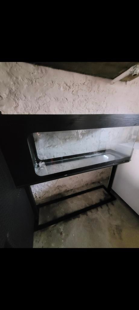 Aquarium, Animaux & Accessoires, Enlèvement