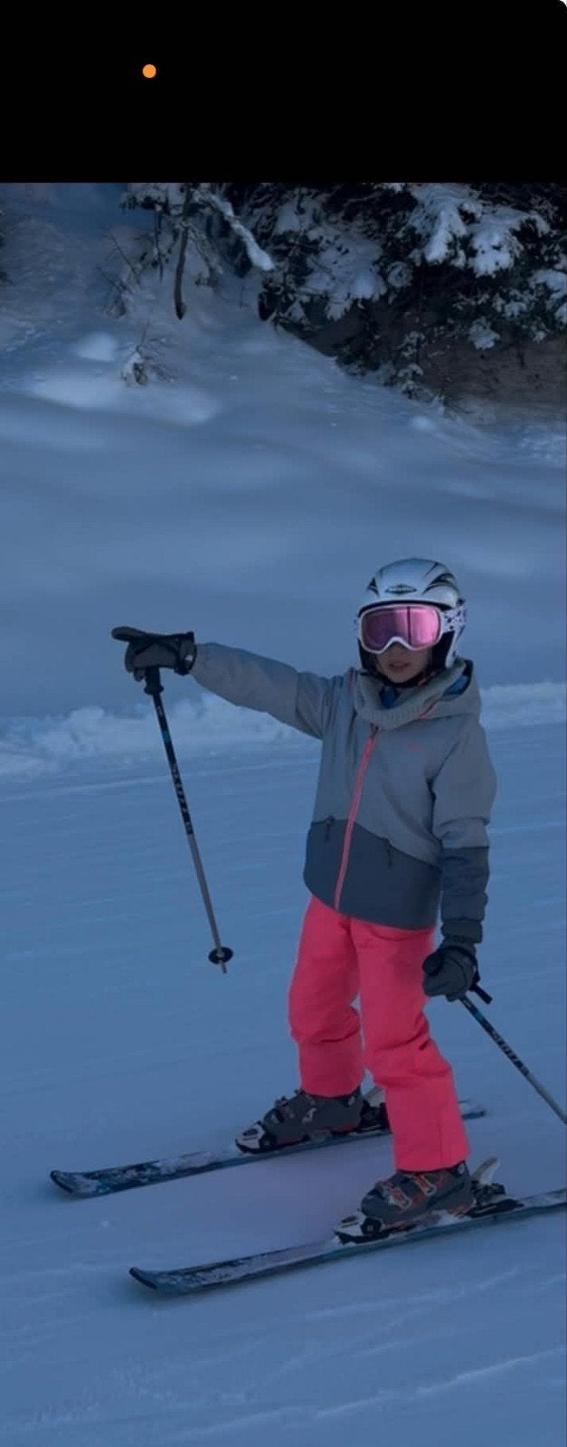 skipak wedze, Sport en Fitness, Ophalen, Zo goed als nieuw, Ski, Overige merken