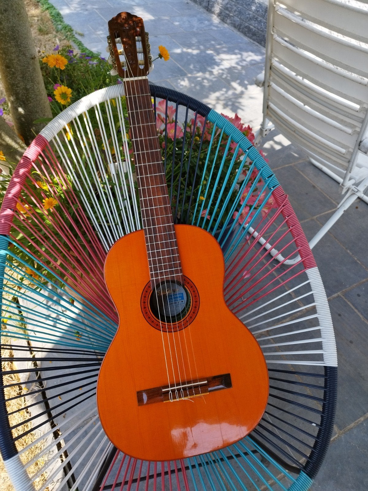 guit classic di giorgio brazil mod signorina nr 16 de 1975, Muziek en Instrumenten, Ophalen