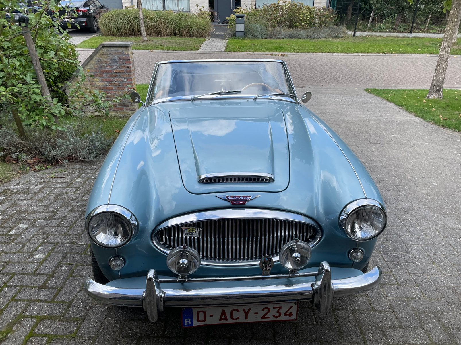 Austin Healey MKIIa, Auto's, Austin, Particulier, Te koop, Lederen bekleding