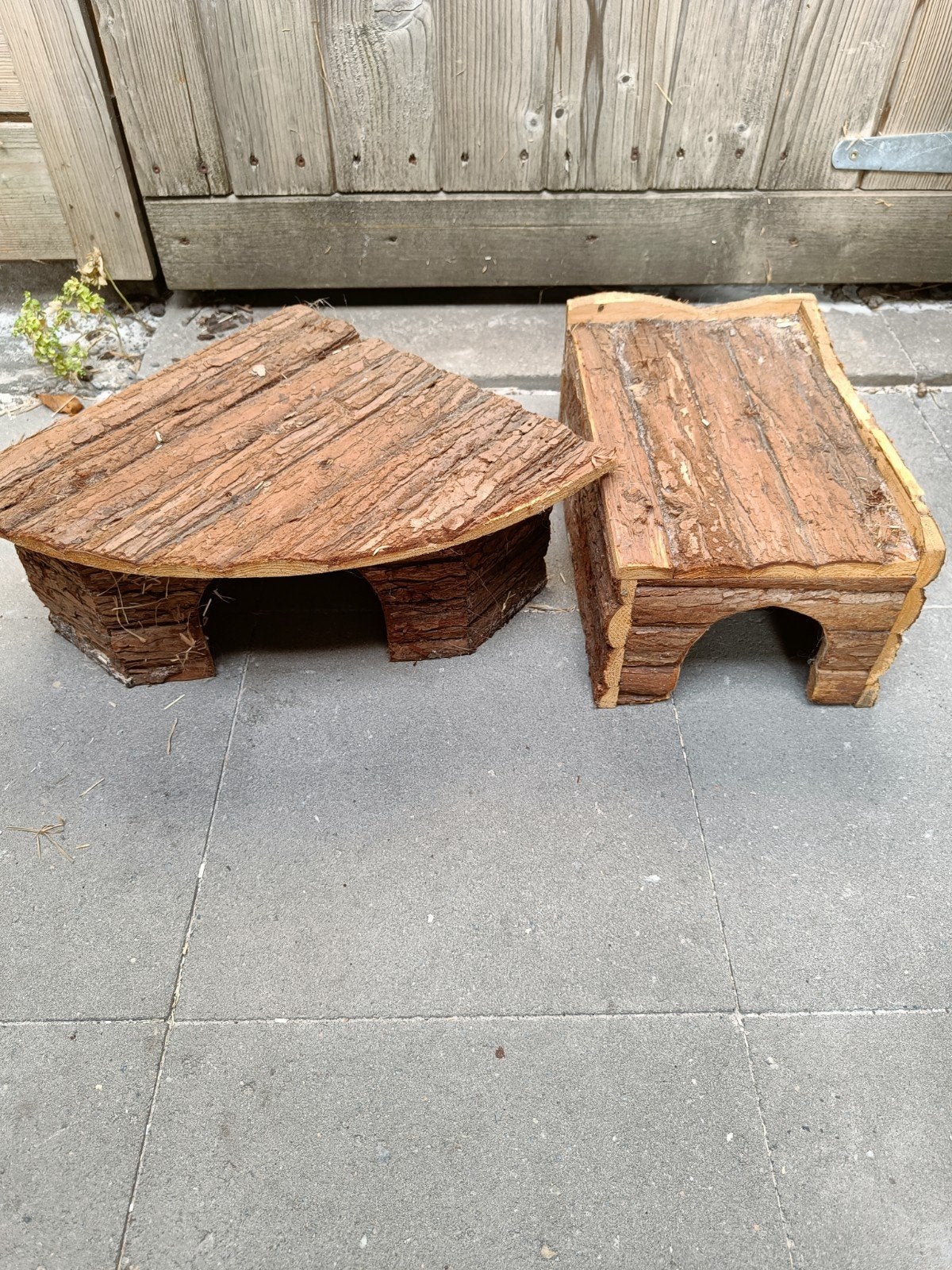 schuilhokjes cavia, Enlèvement, Cobaye