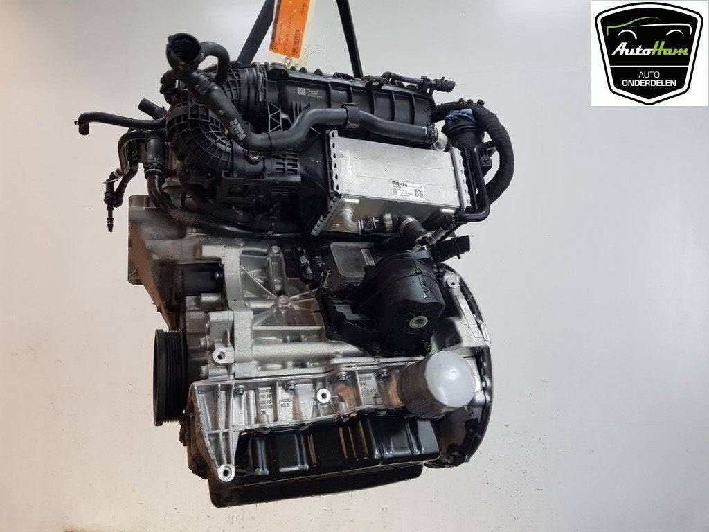 MOTEUR Tiguan (AD1) (|05E100032D|05E100032DX|05E100032G|), Dhr. J. Ham, Volkswagen, Administratie@autoham.nl, Utilisé