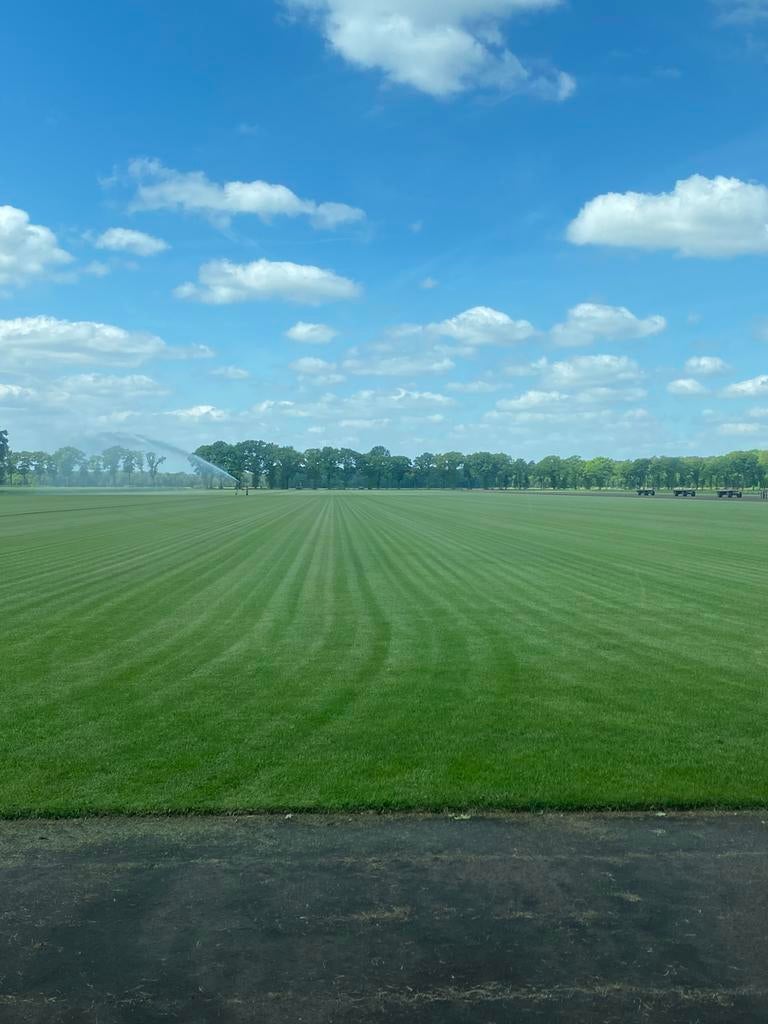 Graszoden op rol, zeer goede kwaliteit, Tuin en Terras, Ophalen, Nieuw, 20 m² of meer, Gras