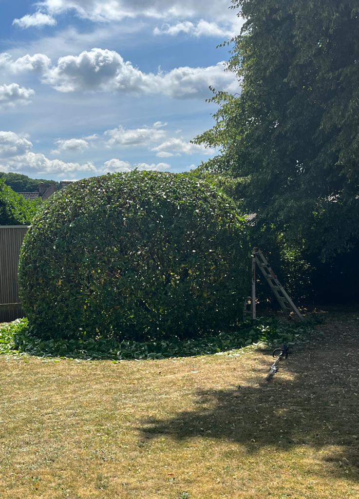 Tuinman, Tuin en Terras, Aarde en Mest, Ophalen