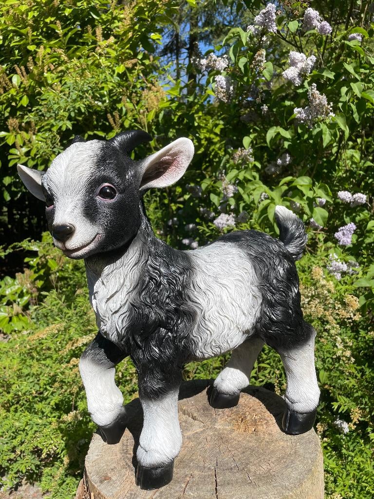 Chèvres, noir/blanc, jardin, ferme, zoo 45cm, Enlèvement, Neuf, Synthétique, Animal