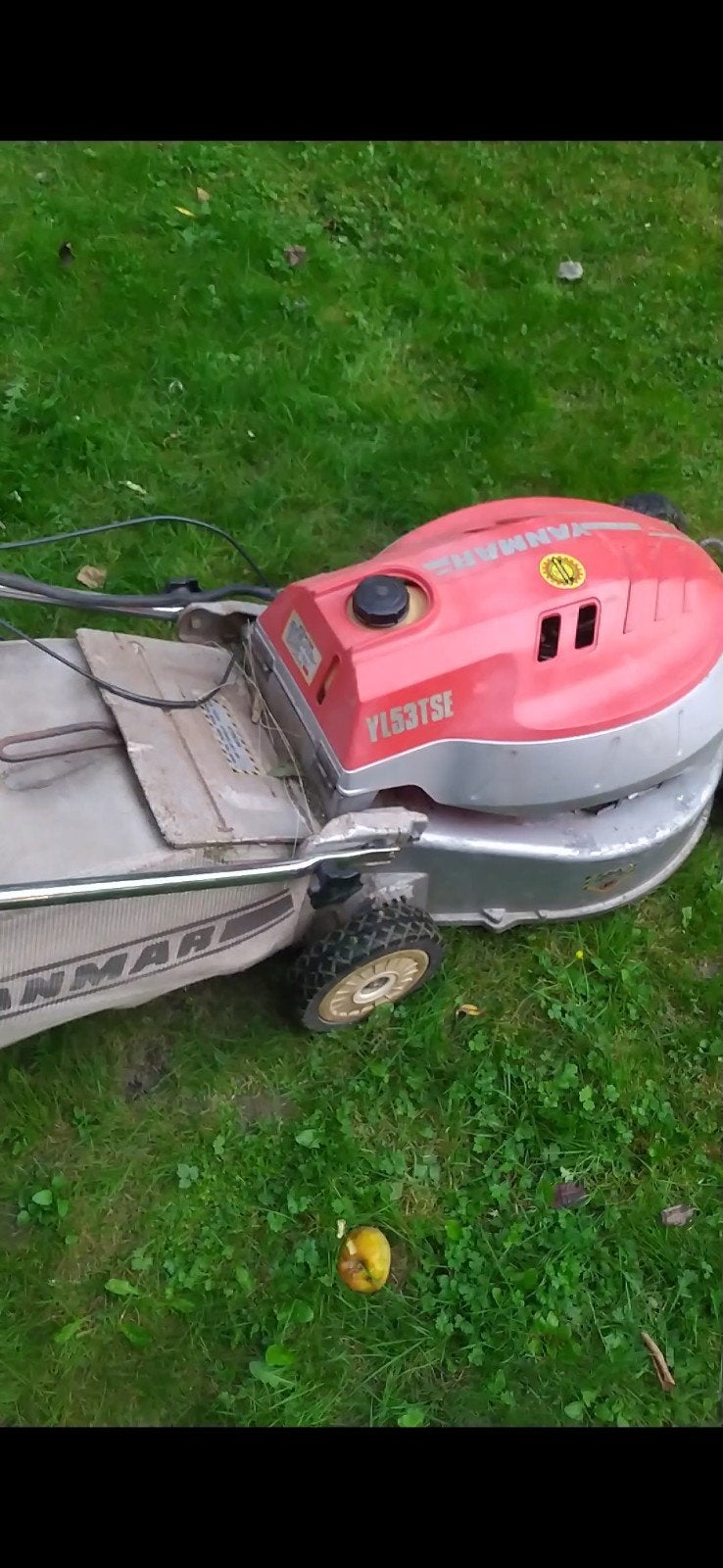 Yanmar yl53tse, Jardin & Terrasse, Enlèvement, Démarrage électrique