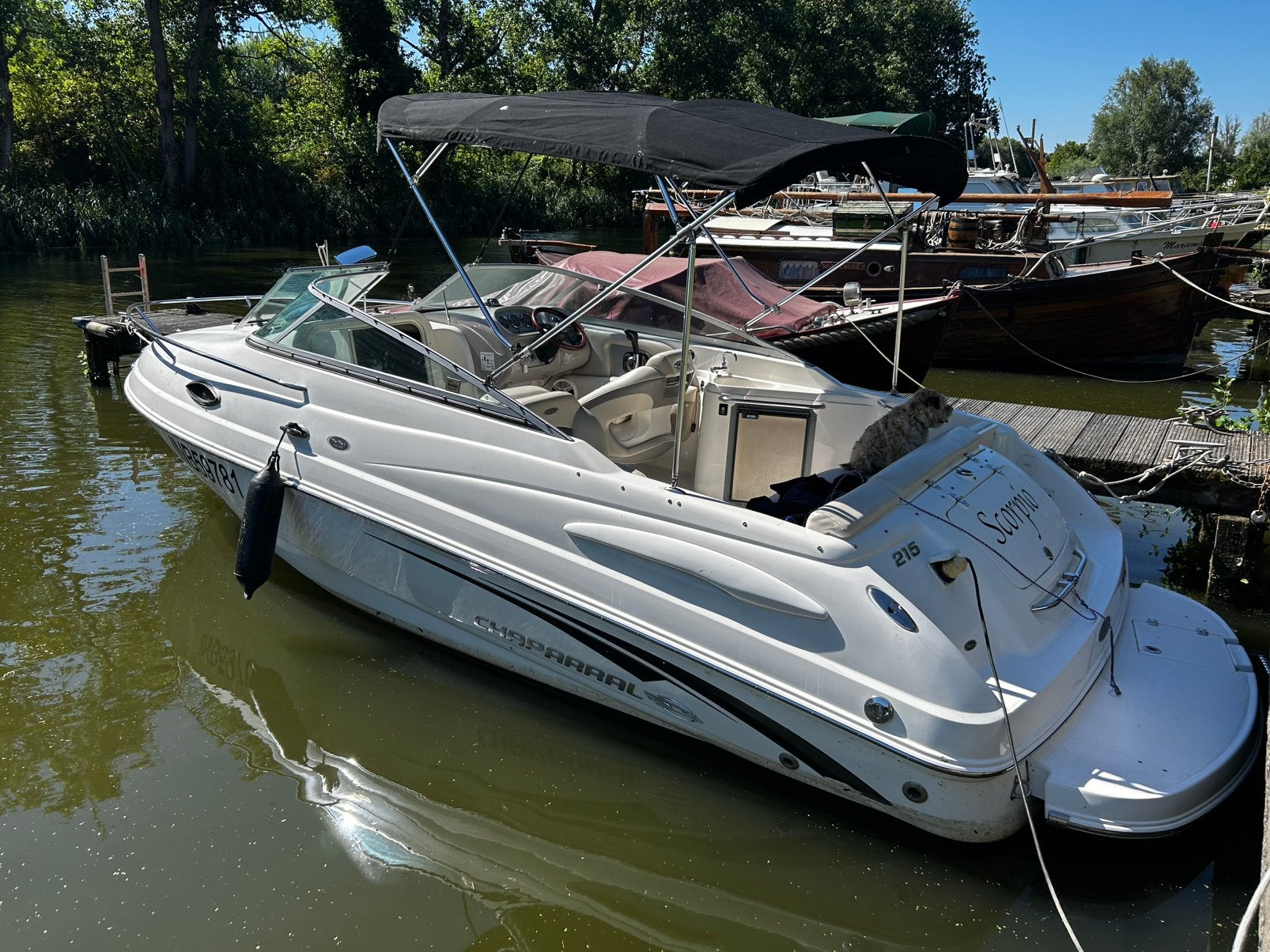 Motorboot chaparral 21.5 ft 280pk, Sports nautiques & Bateaux, Speedboat, 280 ch, 200 ch ou plus, Enlèvement, Utilisé
