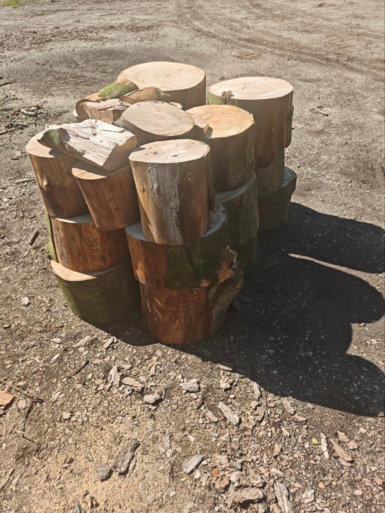 Beuk 1 m3 ongeveer., Tuin en Terras, Brandhout, Minder dan 3 m³, Ophalen, Beukenhout, Blokken